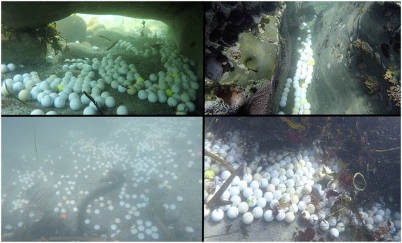 Golflabd�k a kaliforniai Monterey-�b�l vizeiben. Forr�s: phys.org