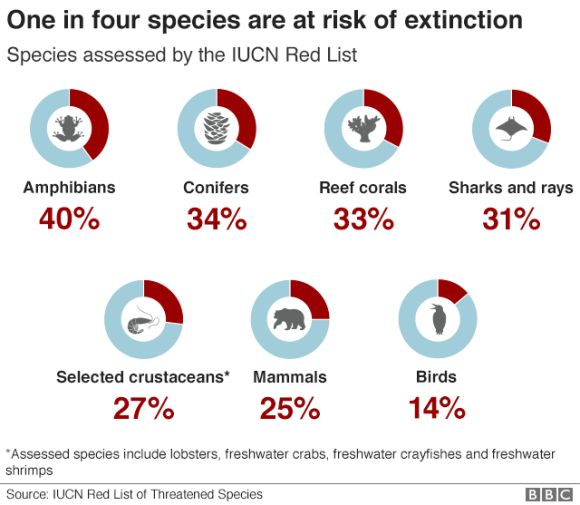 Forr�s: IUCN Red List of Threatened Species