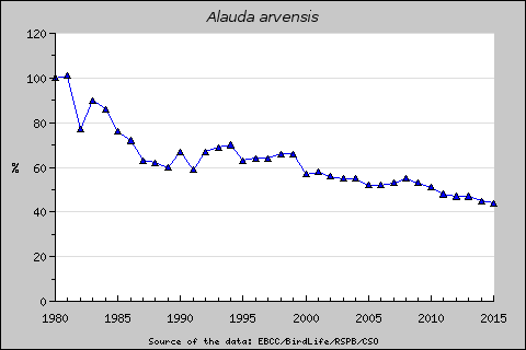 A mezei pacsirta eur�pai popul�ci�j�nak alakul�sa. 2015-re az 1980-ban m�rtnek a 40%-�ra cs�kkent