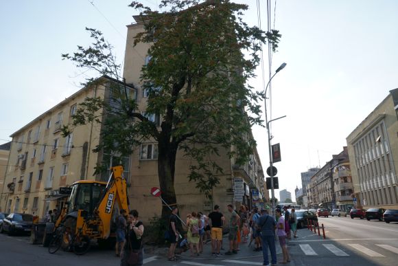 A fot�n is l�that� munkag�ppel m�r siker�lt a munk�soknak s�r�l�st okozni a fa t�rzs�n