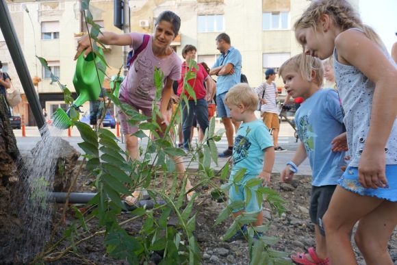 Meg�nt�zt�k a f�t kicsik...