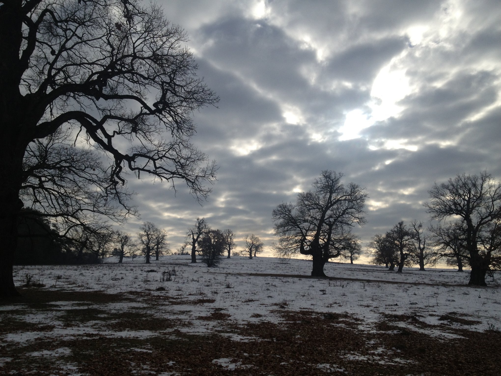 A mirkv�s�ri �sf�s legel� t�lgymatuzs�lemeivel t�len is var�zslatos l�tv�nyt ny�jt