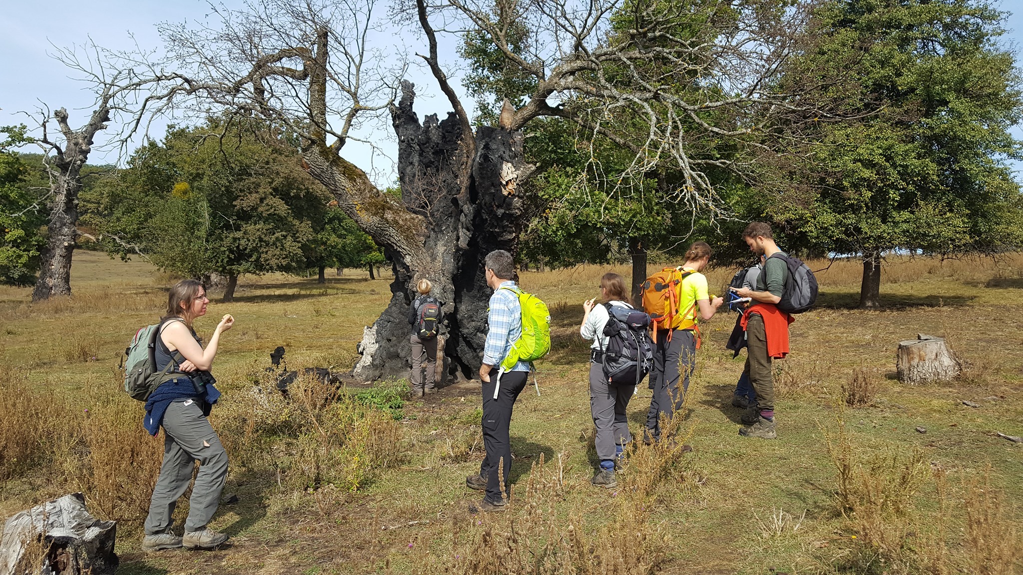 Az erd�lyi di�kok abban a szerencs�s helyzetben vannak, hogy nem kell t�bb sz�z kilom�tert utazniuk ahhoz, hogy famatuzs�lemeket tanulm�nyozzanak