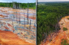 Narancss�rga foly�k miatt ind�tottak vizsg�latot az orosz hat�s�gok	