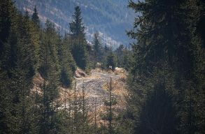 A falop�s mostant�l minden esetben b�ncselekm�nynek sz�m�t Rom�ni�ban 