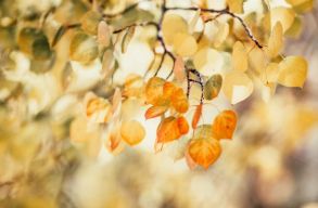 Az idei volt az eddig m�rt legmelegebb szeptember a vil�gon