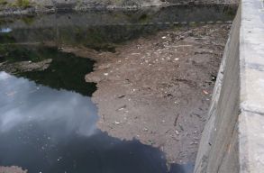 Gy�gyszerrel szennyezik a Kolozsv�r iv�v�zk�szlet�t biztos�t� T�rnica tavat