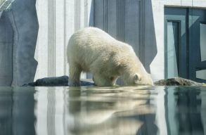 A kl�mav�ltoz�s jobban aggasztja az eur�pai fiatalokat, mint a j�rv�ny