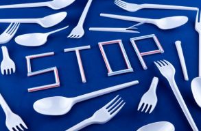 Betiltj�k Magyarorsz�gon a m�anyag �telesdobozokat, poharakat, ev�eszk�z�ket