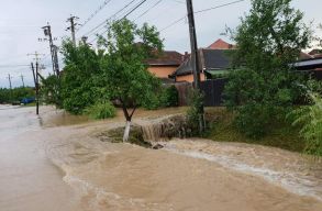 Vas�rnap �jf�lig els�- �s m�sodfok� �rv�zk�sz�lts�g