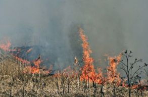 G�r�gorsz�gban t�bb mint 30 t�zesetet jelentettek, egy t�bort evaku�ltak