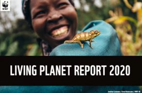 �l� Bolyg� jelent�s: megd�bbent�, mennyire lecs�kkentek a gerinces fajok popul�ci�i