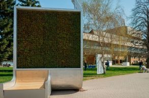 Betonkeretes mohafalakkal z�ld�ten�k Kolozsv�rt. De mire j� tulajdonk�ppen a CityTree?
