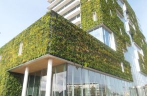 L�teznek j� megold�sok v�rosz�ld�t�sre, a kulcs azonban a mentalit�sv�lt�s