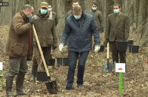 Johannis megint hirtelen fa�ltet�sbe kezdett. De vajon mi okb�l?