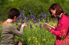 Civil szervezetek „hobbija” a term�szetv�delem Rom�ni�ban
