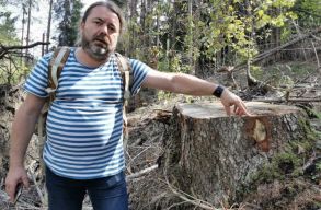 Mihai Goțiu a SUMAL-r�l �s arr�l, hogy az USR-PLUS mi�rt nem akarta a k�rnyezetv�delmi miniszt�riumot