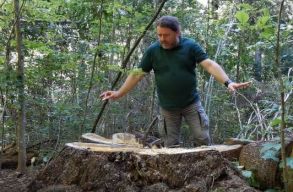 Pet�ci� indult az�rt, hogy Mihai Goțiu legyen a k�rnyezetv�delmi �rszolg�lat vezet�je