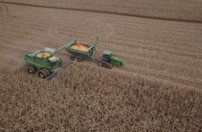 Rom�nia nagyon rosszul �ll a bio mez�gazdas�gban