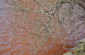 V�r�s lett egy bukaresti t� vize, a z�ldek szerint fek�lia miatt sz�nez�d�tt el