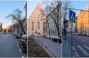 H�rsf�k, ak�cf�k �s ginkgo biloba - ezekkel a f�kkal �ltetik be a Farkas utc�t �s k�rny�k�t