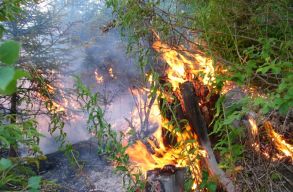 Az erd�t�zek f�stje k�rosabb, mint a kipufog�g�z