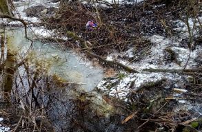 Nagy �sszegre b�ntett�k meg a homor�dszentp�li tejgy�rat, mivel szennyv�z ker�lt onnan egy k�zeli patakba