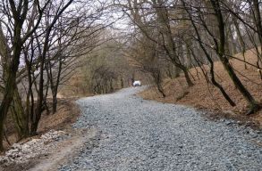 A kaotikus ingatlanberuh�z�sok �s illeg�lis utak miatt szerveznek szombaton t�ntet�st a H�ja erd�n�l