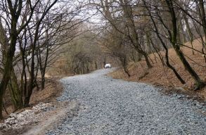 Az ingatlank�osz ellen t�ntettek a H�j�ban a civilek szombaton