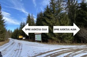 Aszfaltos utat �p�ten�nek P�dist�l Kolozsv�r ir�ny�ba, a term�szetv�d�k azonban nem �r�lnek