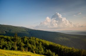 �lesen b�r�lja a korm�nyt a WWF: a PNRR jelen form�j�ban csak egy k�v�ns�glista