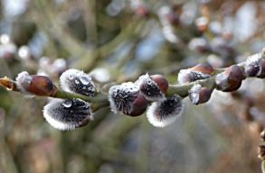 J�n a hideg: a megszokott �prilisi id�j�r�sn�l h�v�sebb lesz a k�vetkez� k�t h�tben