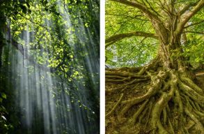 �gy �l�nk, mintha nem lenne holnap! Gyorsteszt a F�ld napj�ra