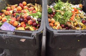 J�vedelm�nk jelent�s h�nyad�t �lelmiszerre k�ltj�k, m�gis  fejenk�nt  130 kil� �lelmiszert dobunk a kuk�ba