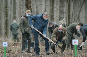 Kider�lt, hogy a PNL-korm�ny tavalyi nagy erd��ltet�se sokszor csak pap�ron t�rt�nt meg