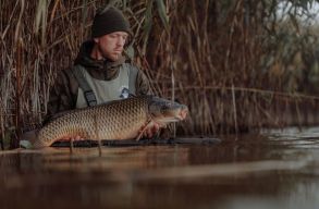 Mi t�rt�nt a halainkkal az elm�lt 50 �vben? Hogyan vesz�t�nk �vi t�bb mint 30 milli� eur�t?