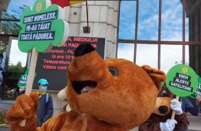 R�k�k, medv�k �s m�s vad�llatok t�ntettek a k�rnyezetv�delmi miniszt�rium el�tt