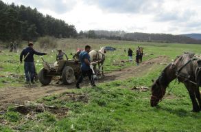 Ism�t hullad�kgy�jt�si kal�ka lesz a sepsiszentgy�rgyi �rk�n