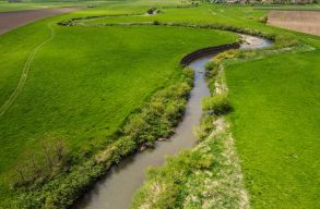 Nagytakar�t�s K�zdisz�ken (X.)