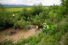 PET-palack, �p�tkez�si t�rmel�k, h�t� �s kanap� is volt a Fekete�gy partj�n