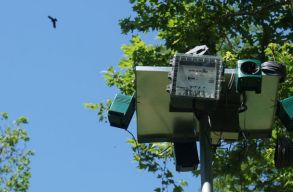 Ism�t csat�t nyertek a varjak Szatm�rn�metiben - illeg�lis az �nkorm�nyzat �j ,,rikoltoz� berendez�se