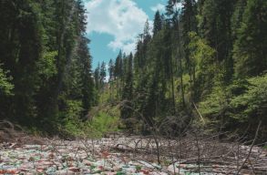 Nem l�tszik ki a v�zt�k�r a szem�trengeteg al�l: a j�sikafalvi v�zt�roz�t 2 napig takar�tott�k