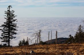 Az EU �llampolg�rainak 58 sz�zal�ka szerint a nagyv�llalatoknak kellene els�sorban kezelni a kl�mav�ls�got