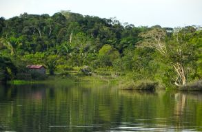 Az amazonasi �slakosoknak is van „erd�radarjuk” - �s valamennyire m�k�dik