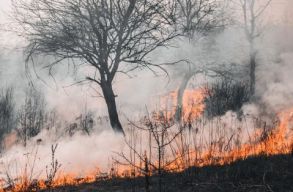 Hat hekt�ron puszt�t a t�z a Vaskapu-szoros Nemzeti Parkban