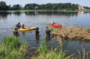 V�ztiszt�t� �sz� szigeteket bocs�tottak v�zre h�rom Kov�szna megyei tavon