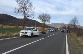 Csibi Magor: a korm�ny medve�gyben �tadta a d�nt�st az �nkorm�nyzatoknak