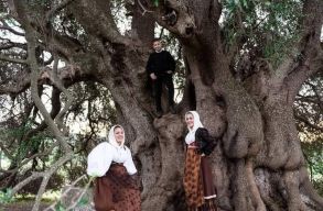 Ezer�ves olajfa �gett sz�nn� a szard�niai t�zv�szben, most m�gis megmenten�k