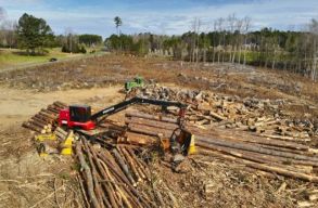 A k�rnyezetv�delmi miniszt�rium el�tt t�ntet a Declic a nemzeti parkokban foly� erd�irt�sok miatt