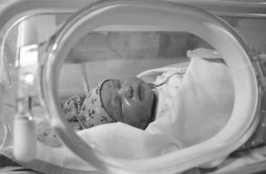 Majdnem hatmilli� korasz�l�st okozhatott a l�gszennyez�s 2019-ben